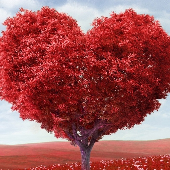 Meet your Posher, Devora - Picture 4 of 4